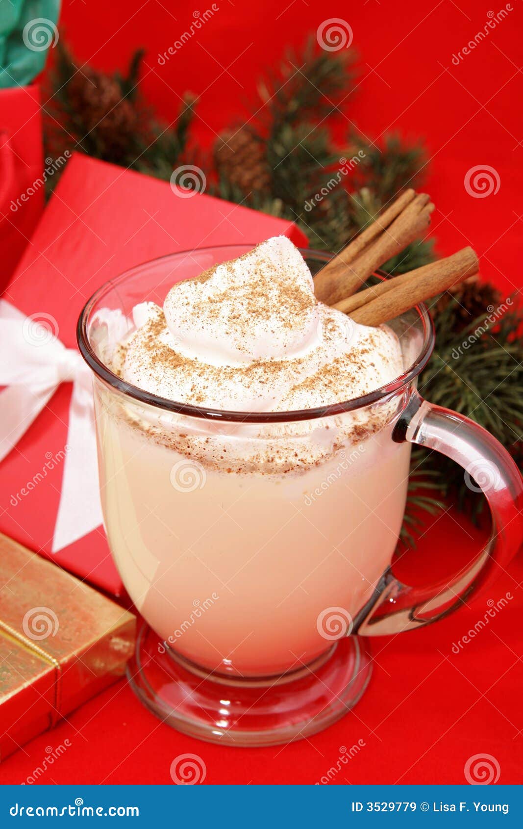 Festive Christmas Eggnog stock image. Image of cinnamon 3529779