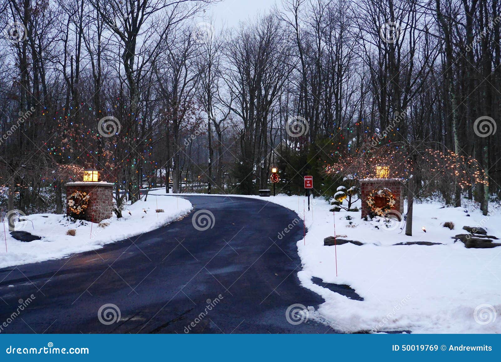 Festive Driveway in Winter stock image. Image of woods 50019769