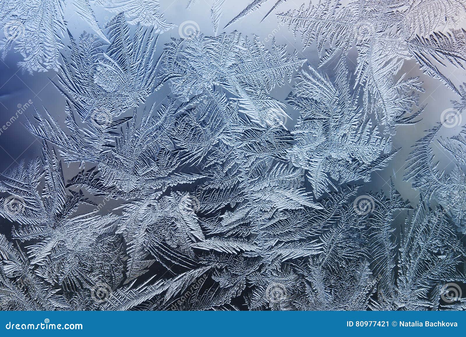 festive frosty pattern with white snowflakes on a blue background on glass