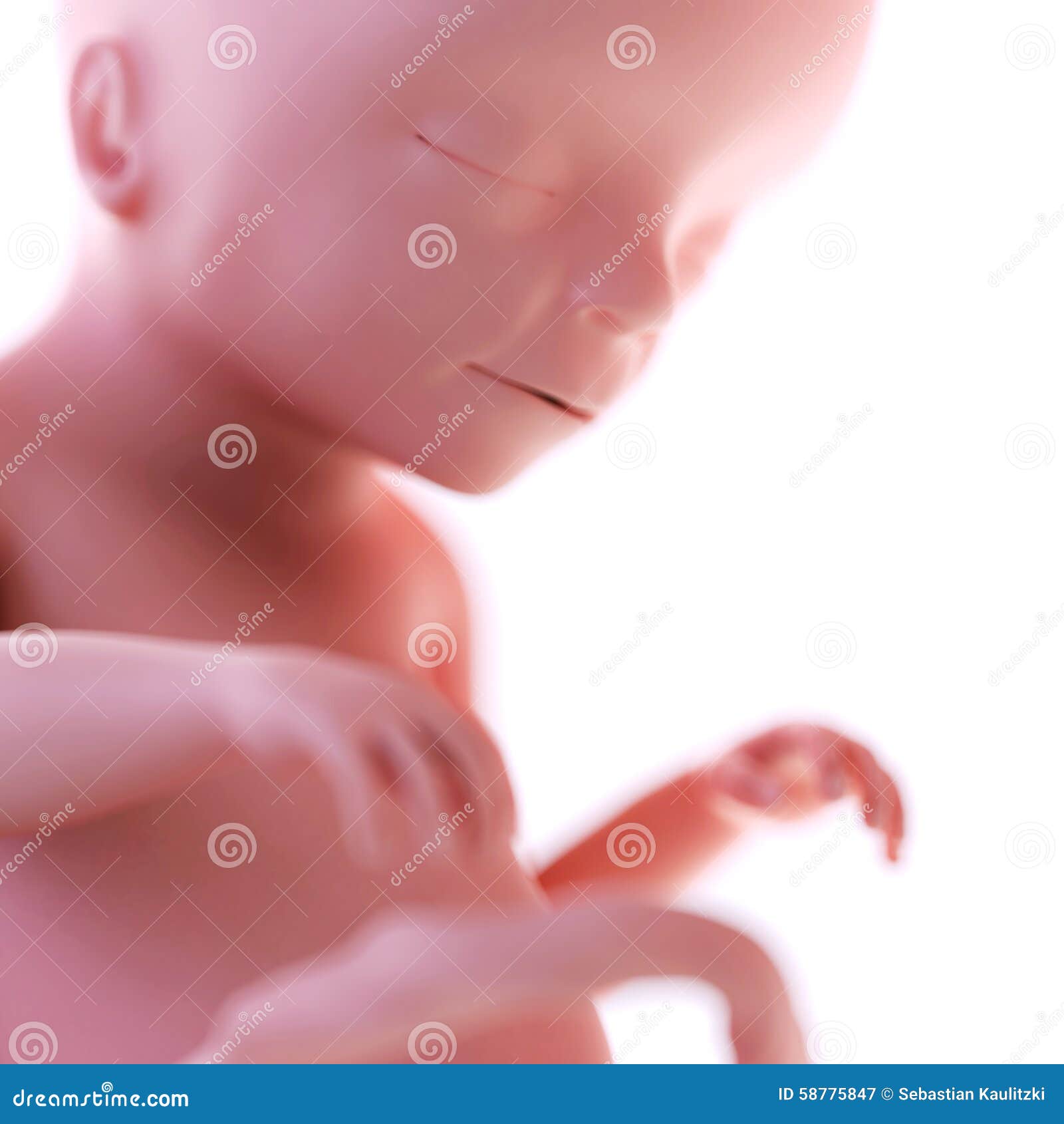 My Image 8