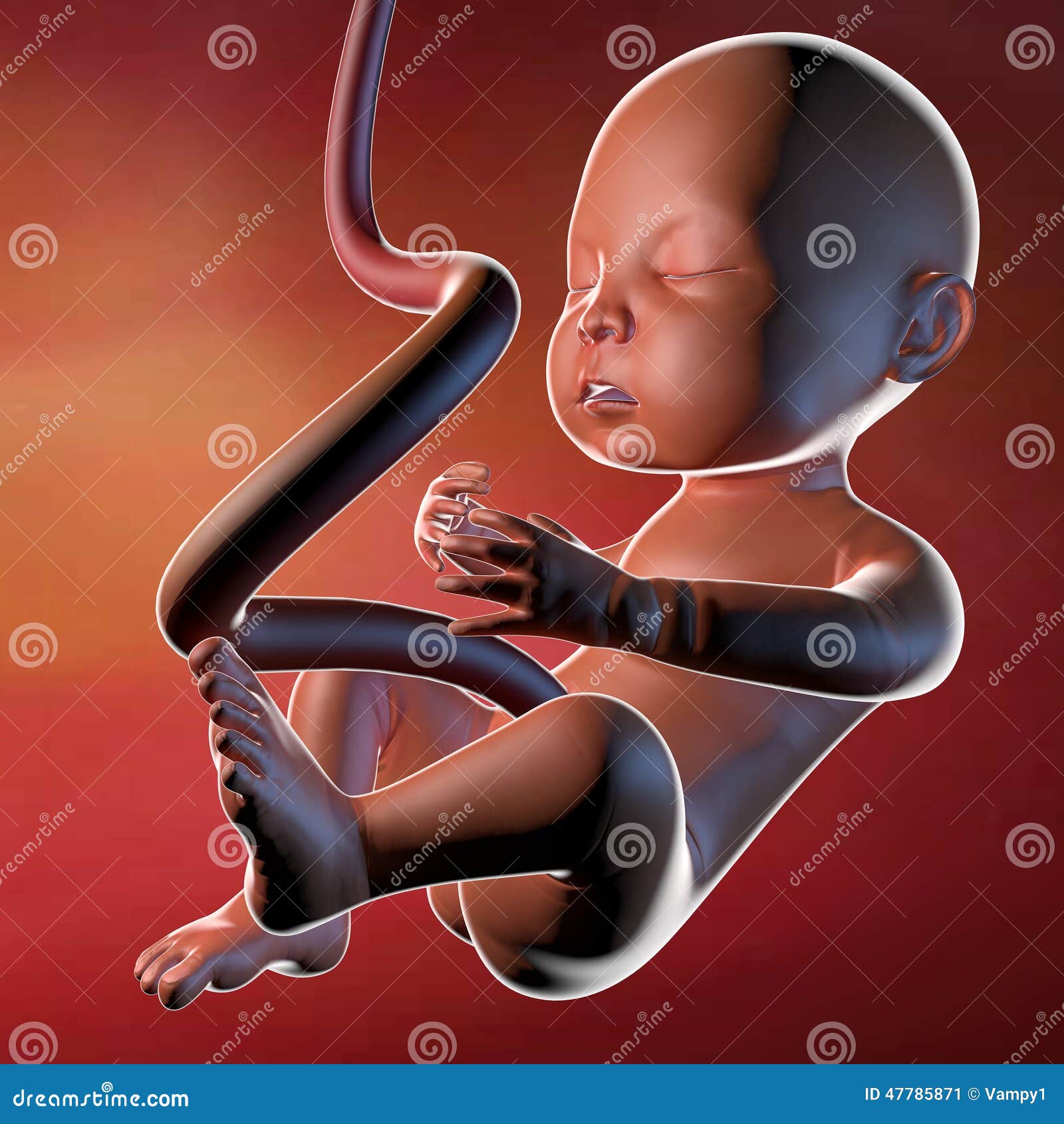 umbilical cord cartoon