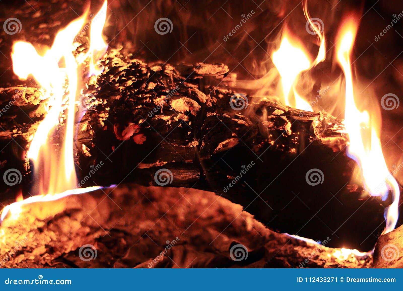 Feu pendant la nuit. Feu dans la forêt de nuit