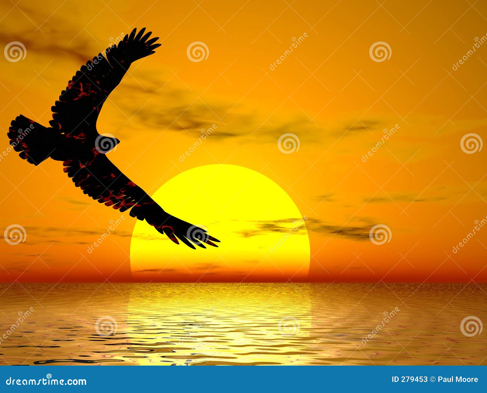 Image Result For Wild Bird Orange Wallpapers Image Result For Wild Bird Orange Wallpapers