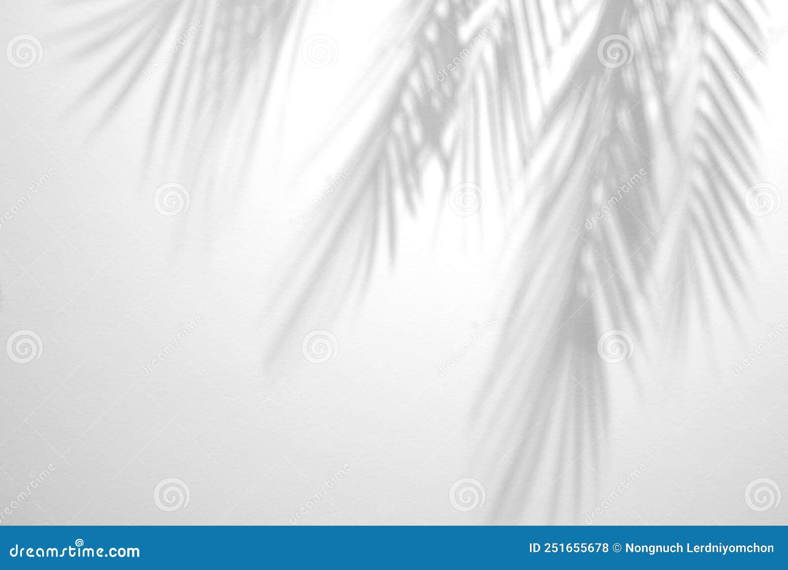 Ombres De Grandes Feuilles De Palmier Sur Le Sable Blanc Sur L'océan Décor  Naturel Décoratif