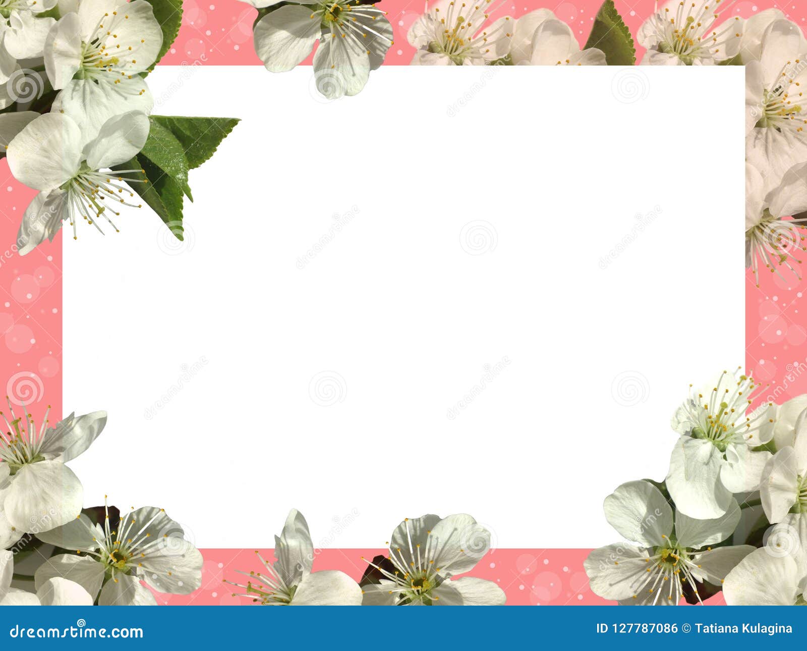 Feuille Blanche Sur Un Fond Rose Et Fleurs Blanches Photo stock - Image du  dessin, fête: 127787086