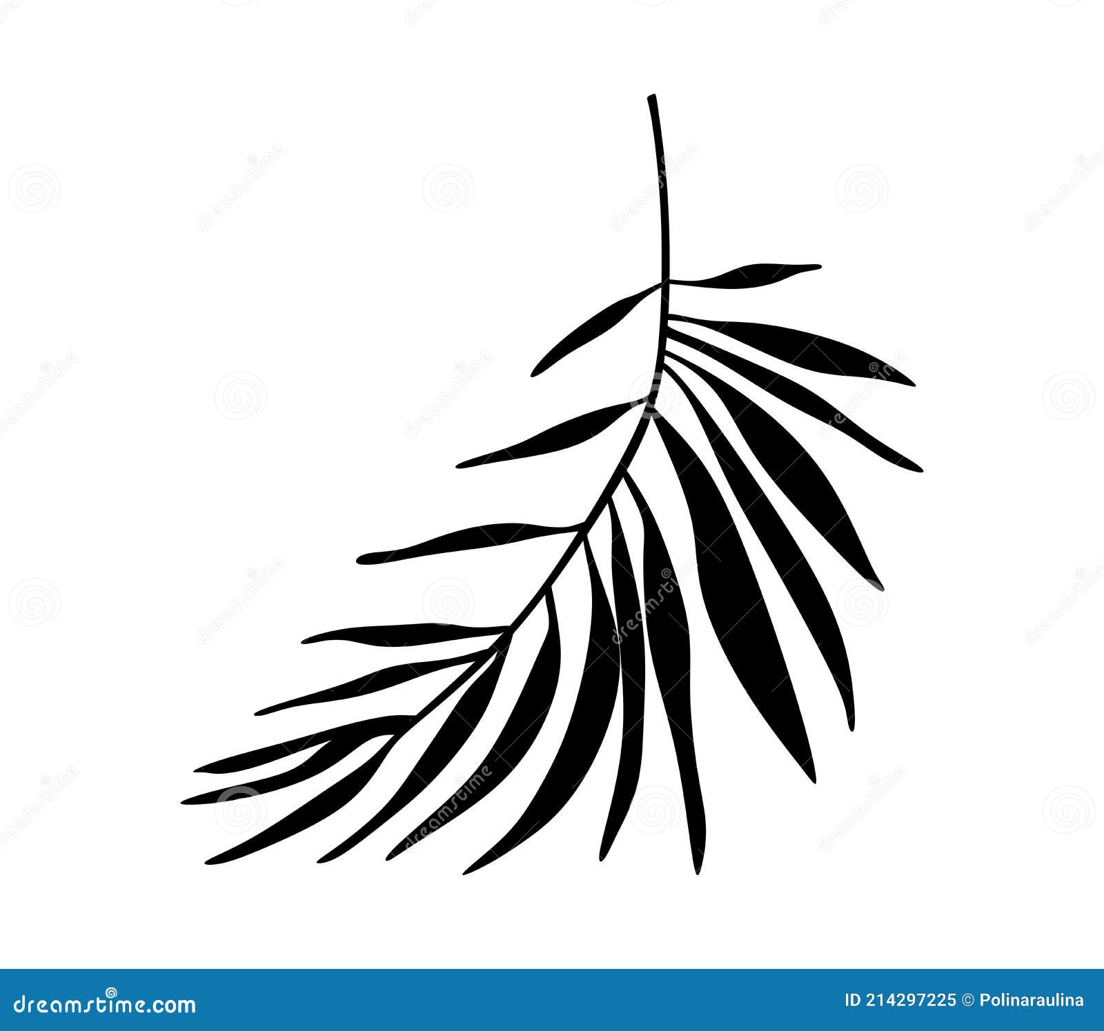 Dessin De Feuille Tropicale Au Trait PNG , Dessin De Feuille, Dessin  Tropical, Dessin De Feuilles Tropicales PNG et vecteur pour téléchargement  gratuit