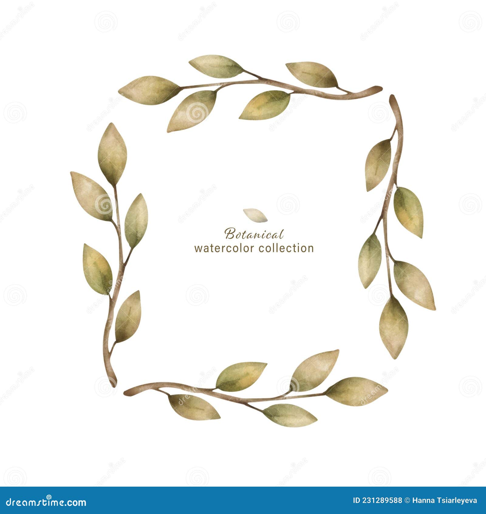 Feuille Verte De Mariage Feuille Fleurie. Fleurs Séchées Exotiques Cadre  Carré Feuilles De Palmier Boho Carte D'invitation. Aquare Photo stock -  Image du automne, fleur: 231289588