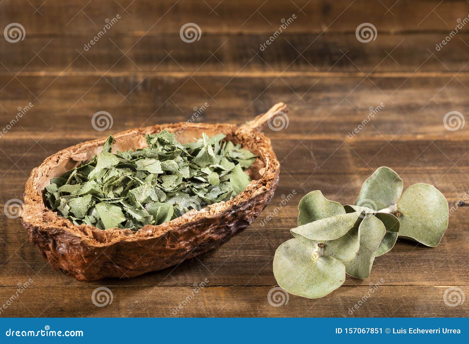 Feuilles d'eucalyptus, Herbes