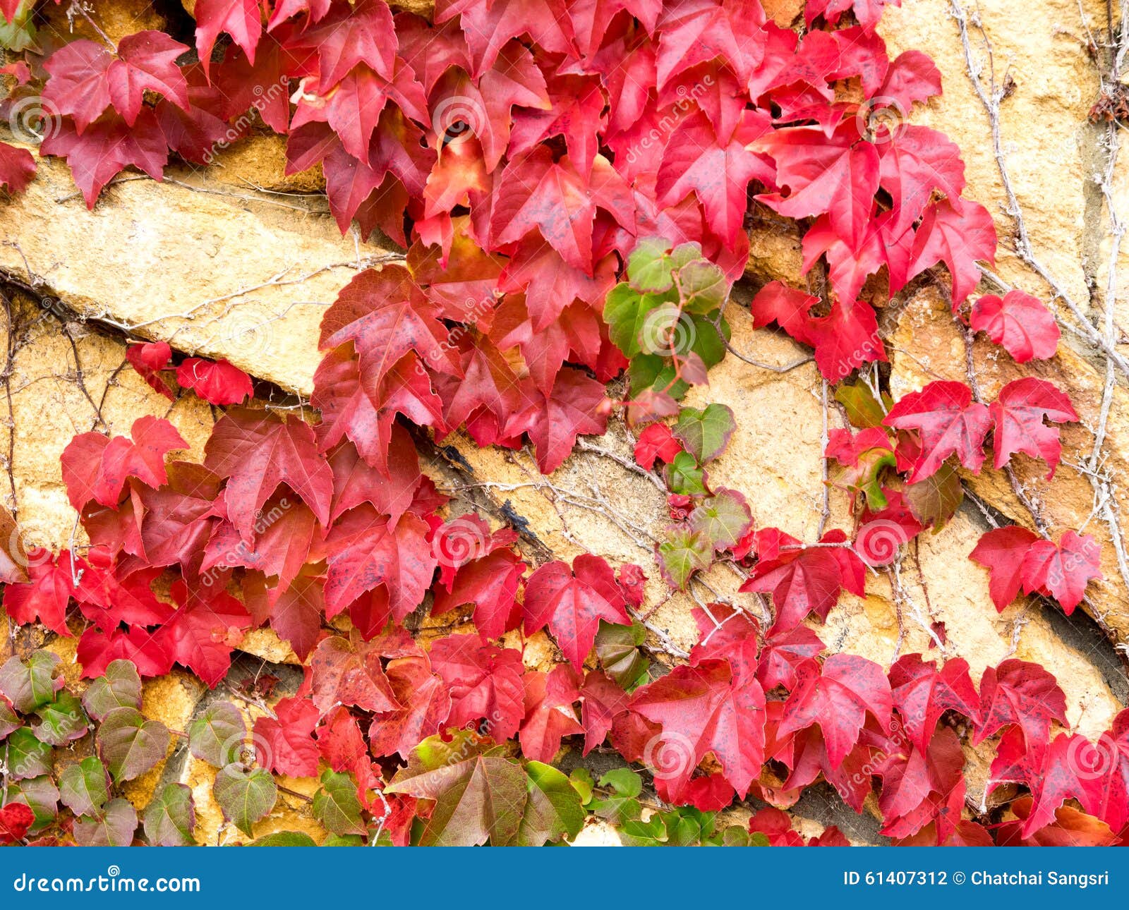 LB Toile Murale Citrouille D'automne Avec Forêt D'érable, Décoration D'intérieur Prête à être Accrochée Pour Salon, Chambre à Coucher, Salle De Bain, 61 X 40,6 Cm, Orange Et Vert