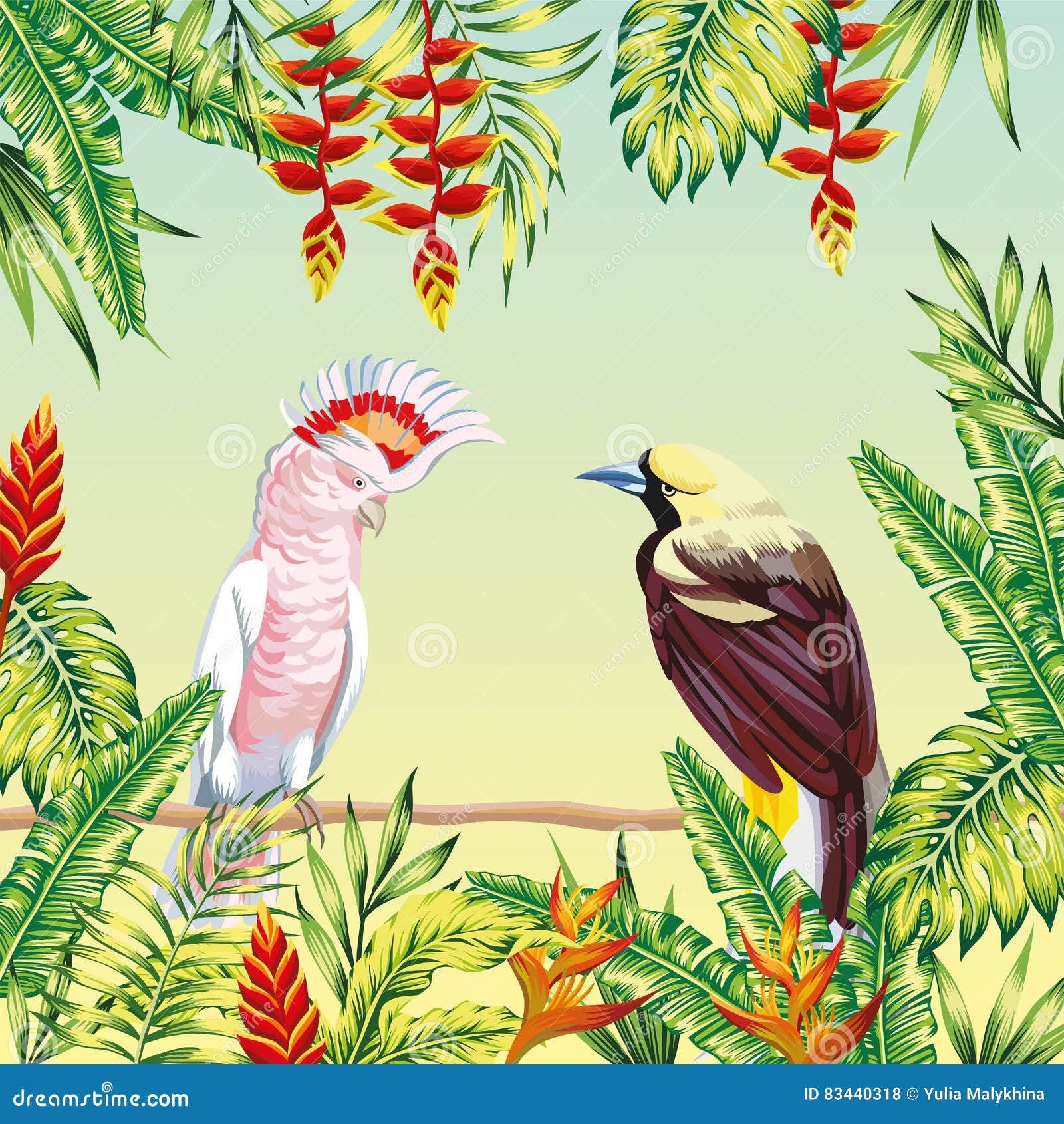 Cadre D'oiseaux Avec Des Images Colorées D'oiseaux Réalistes Avec