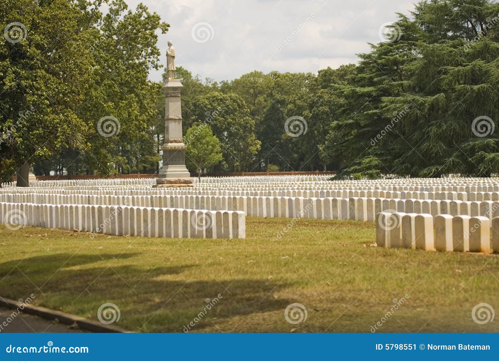 a few graves at andersonville