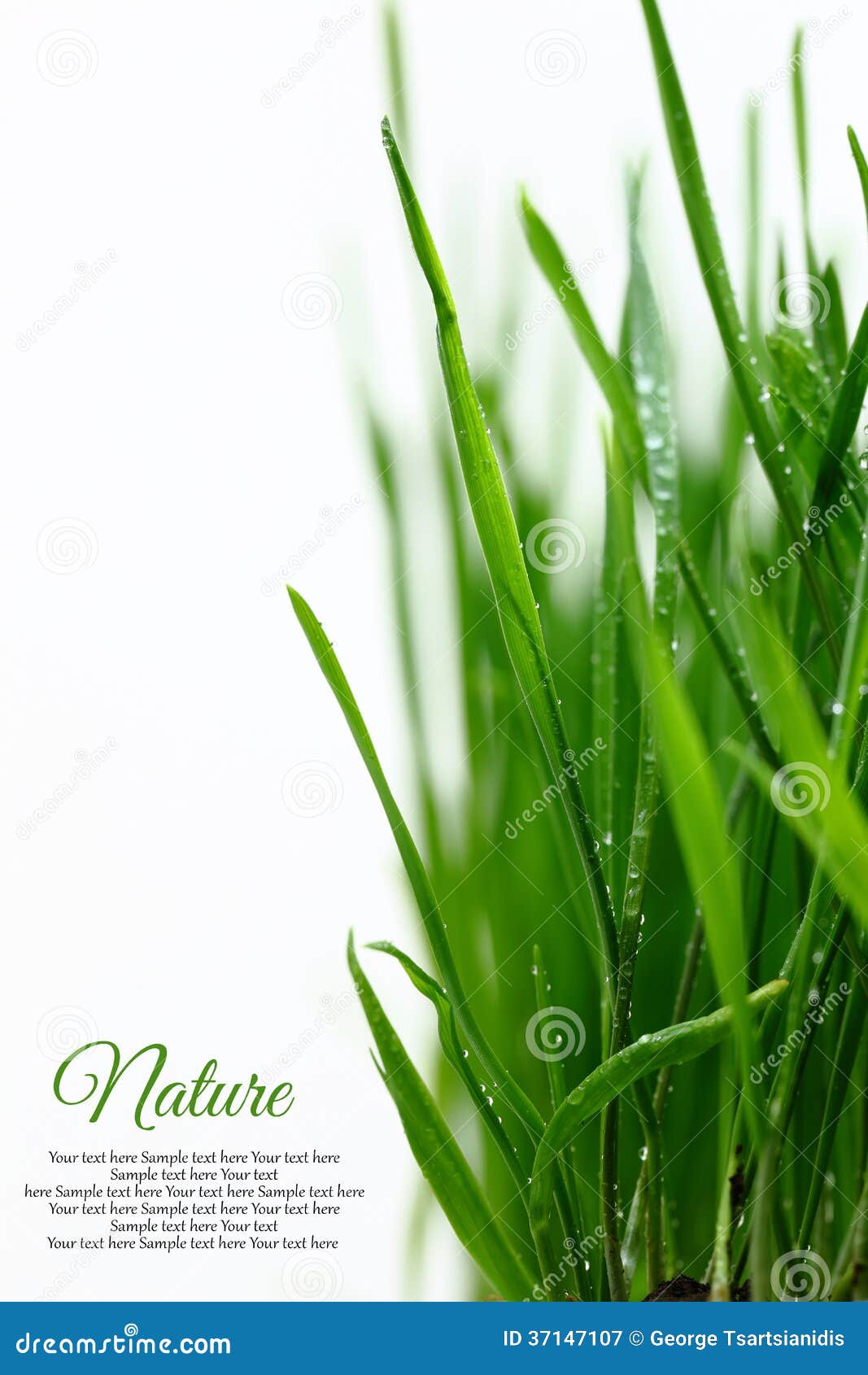 few green blades of grass