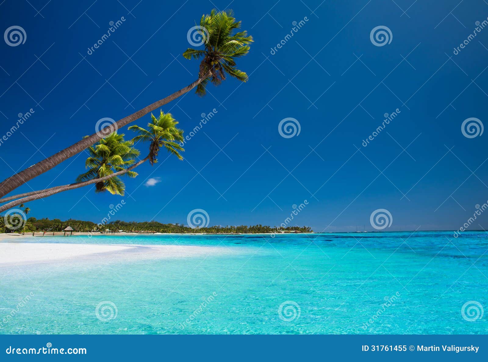 Few Palms on Deserted Beach of Tropical Island Stock Image - Image of ...