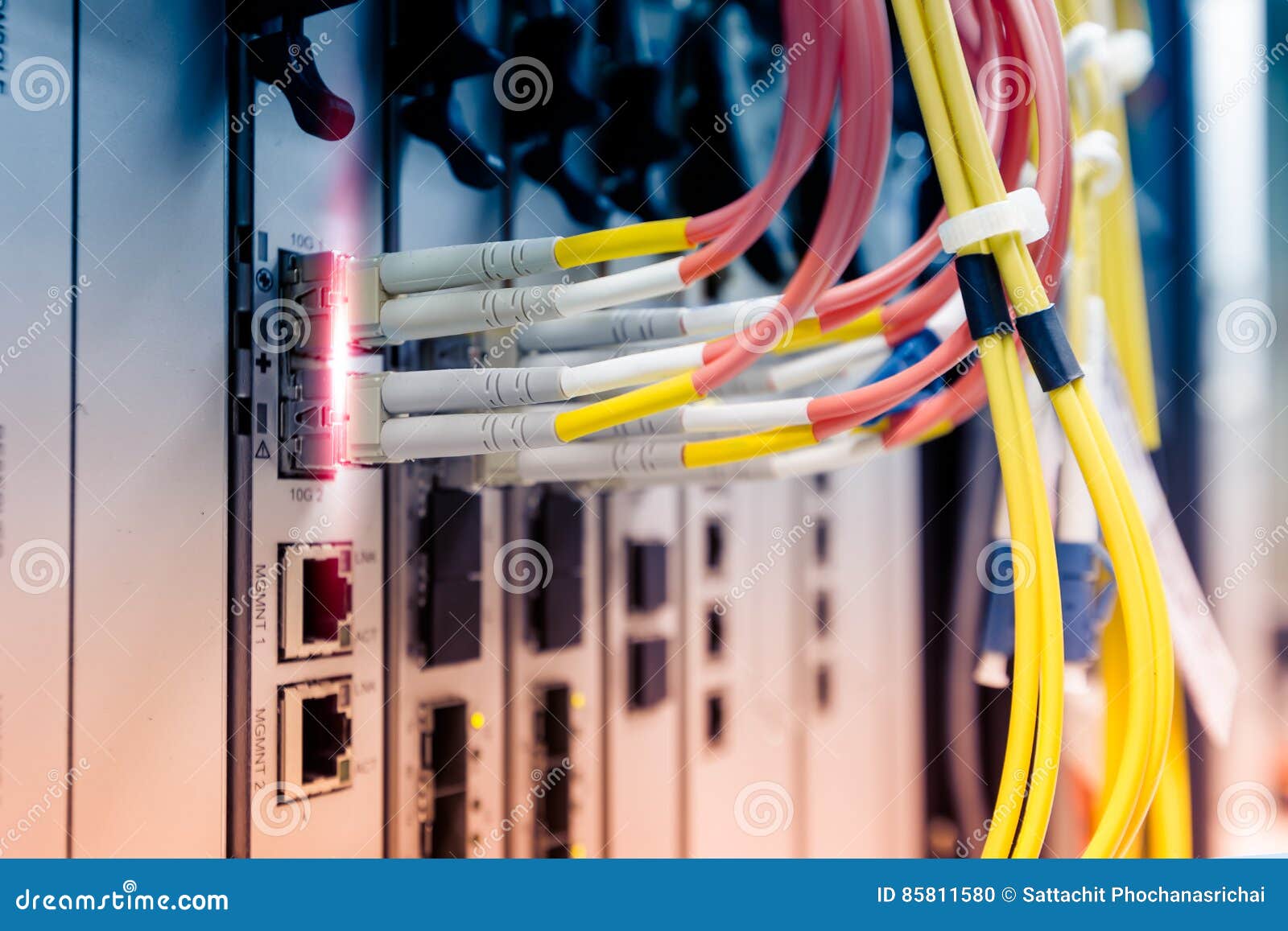 LAN Cable Connect To Network Device Stock Photo