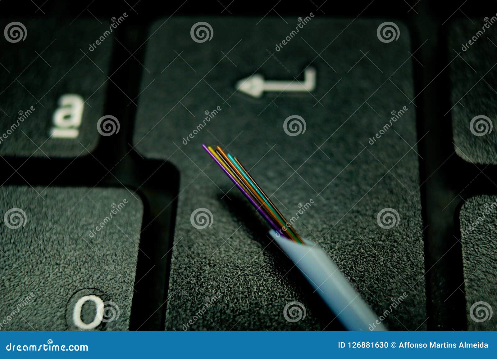 Fiber Optic Cable in the Data Transmission. Stock Photo Image of