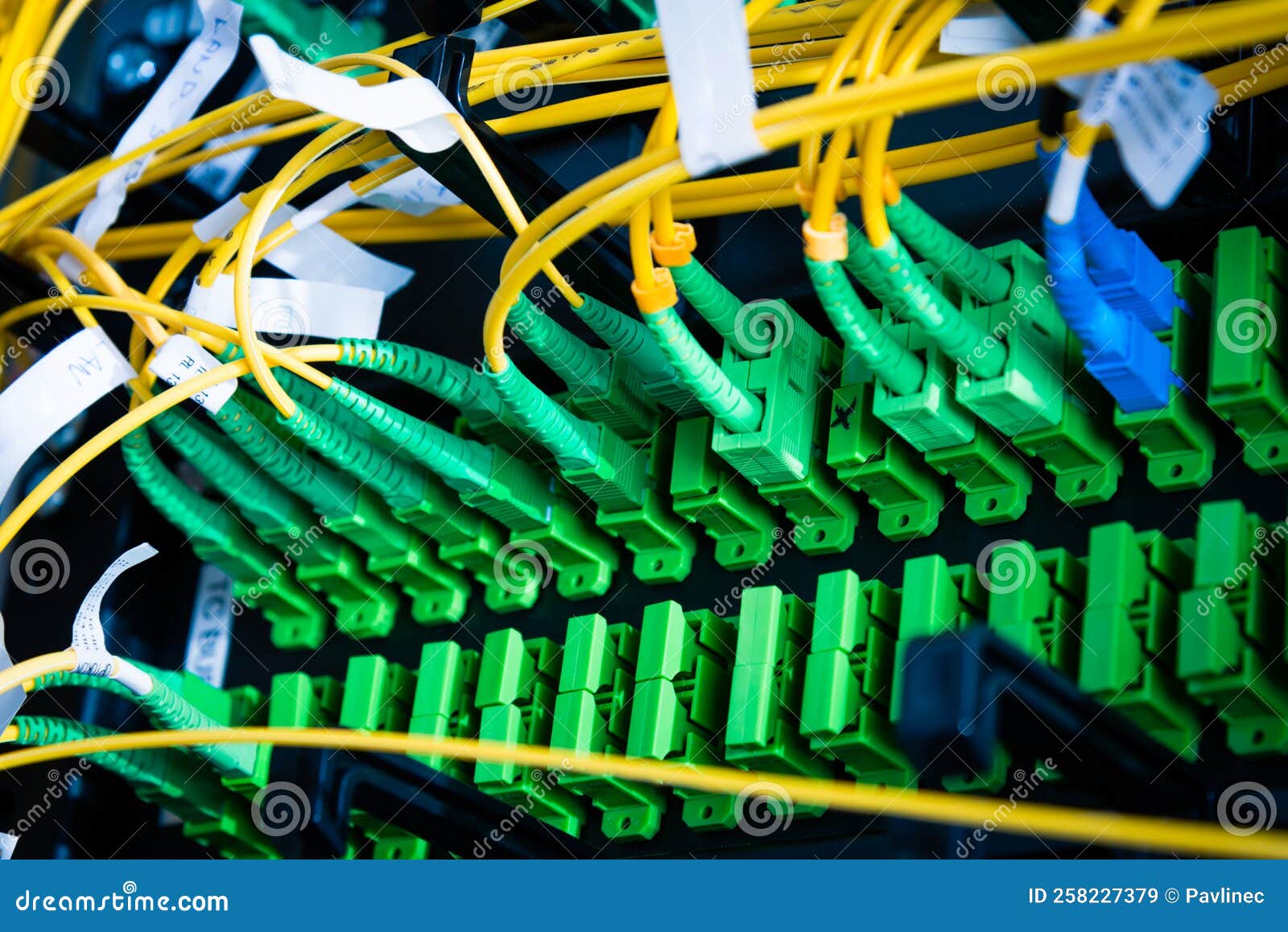 Fiber Optic Cables Connected To an Optic Ports Stock Image Image of patch, datacenter 258227379
