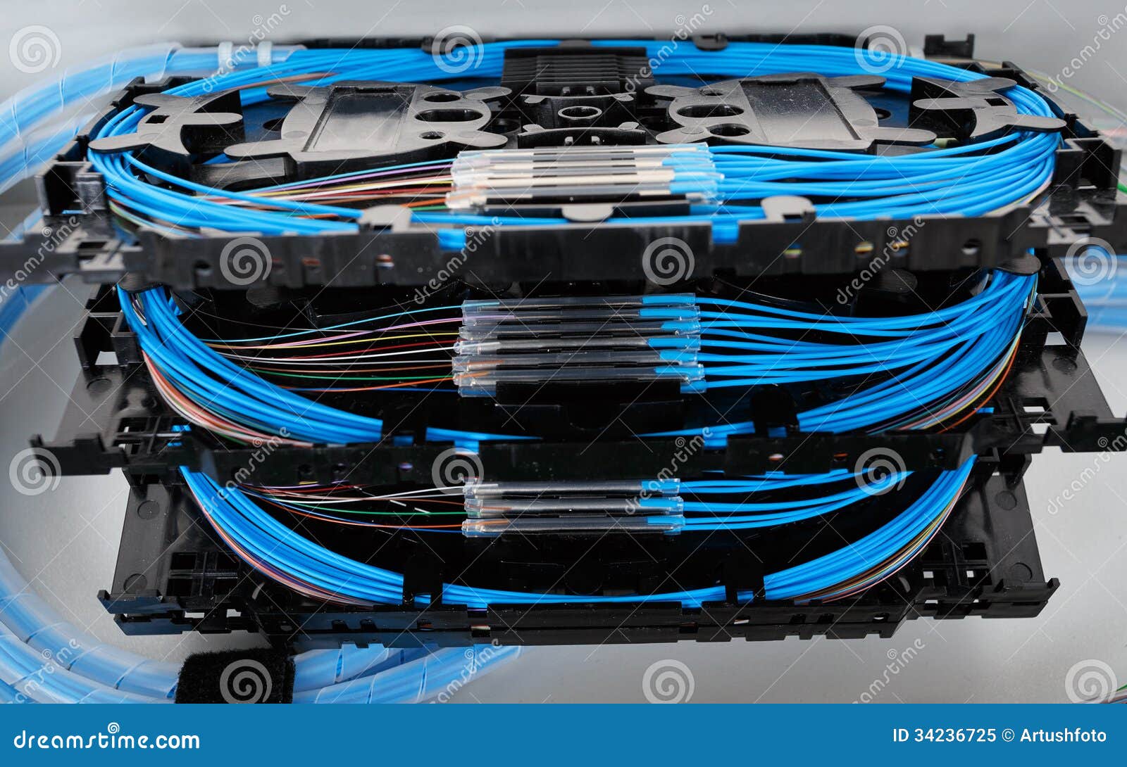 Is Splice Royalty Free Is Splice Royalty Free