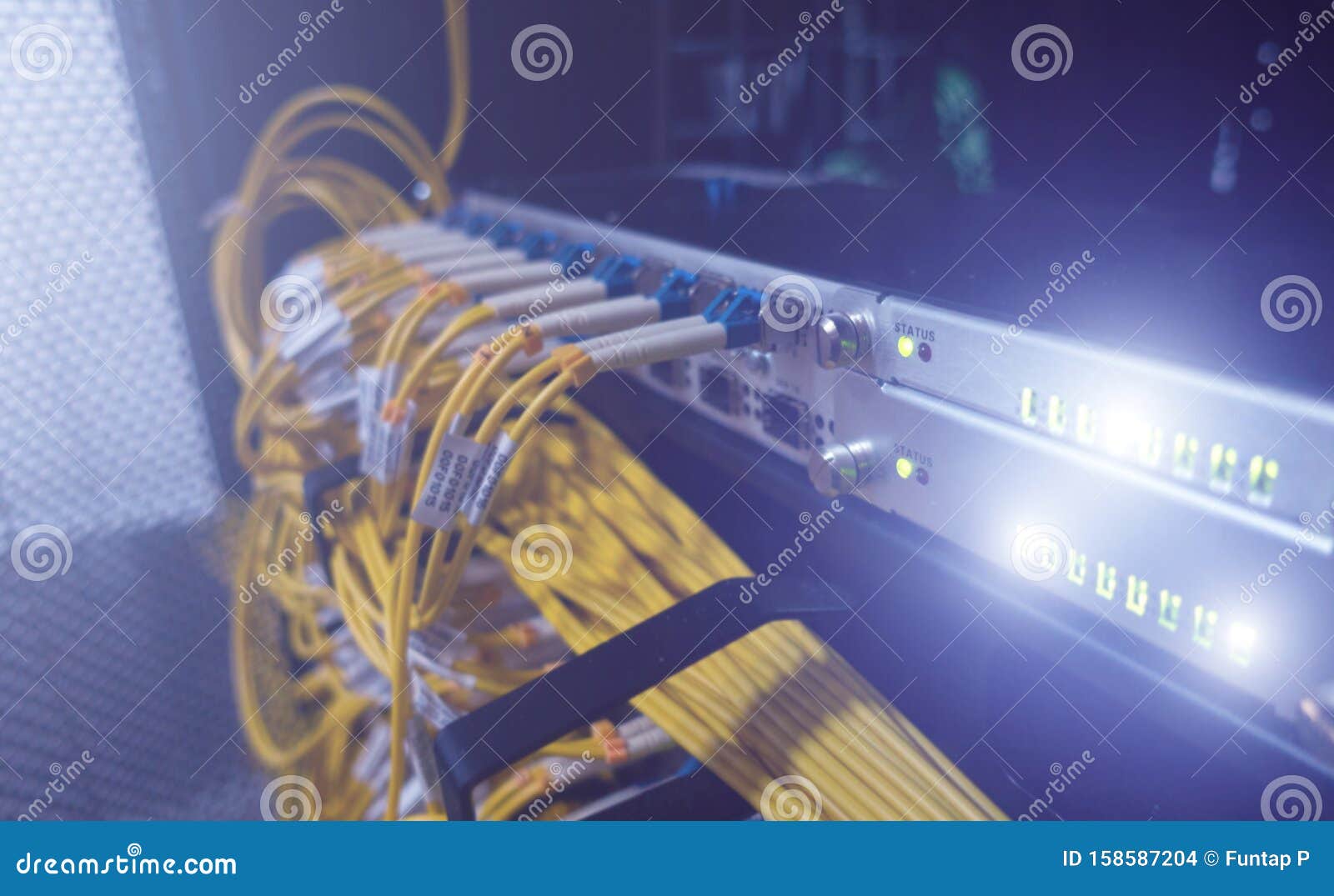 Fiber Optical Cables Patch Panel and Switch. Stock Photo Image of
