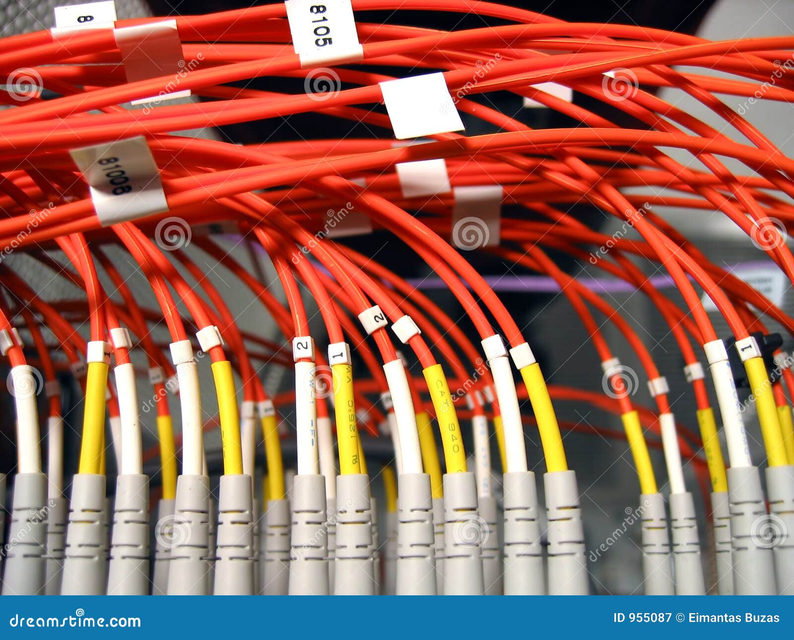 Fiber Optical Network stock image. Image of internet, computers - 955087