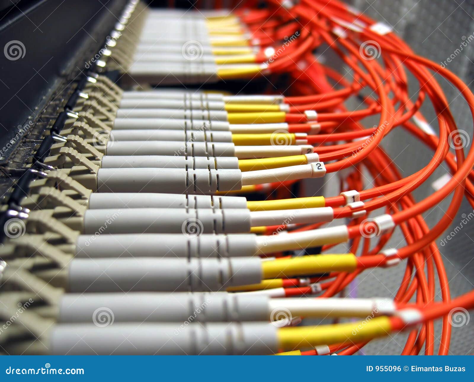 fiber optical network