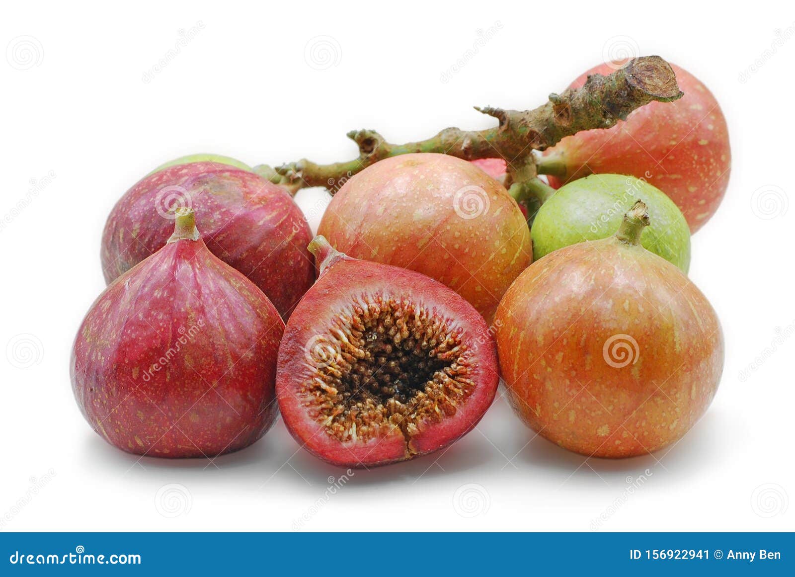 ficus racemosa fruit  on white background