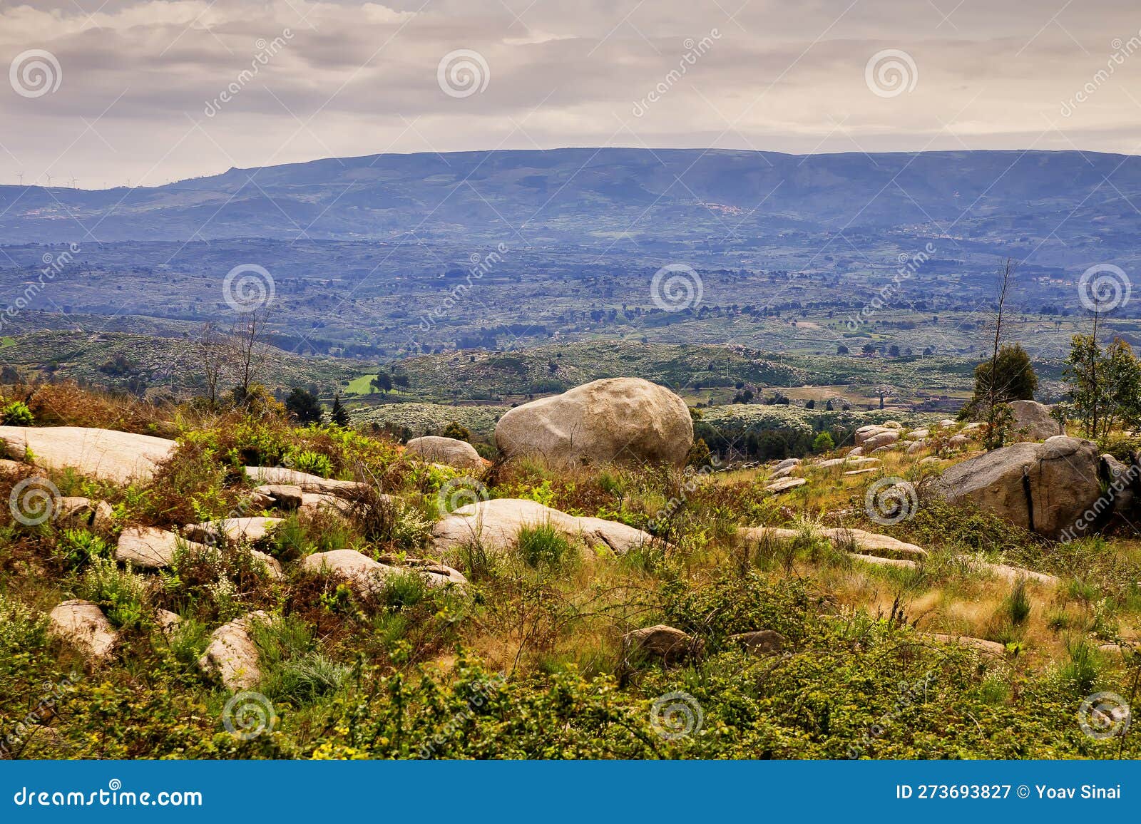 field of big stones landscape north of vila mendo de tavares portugal