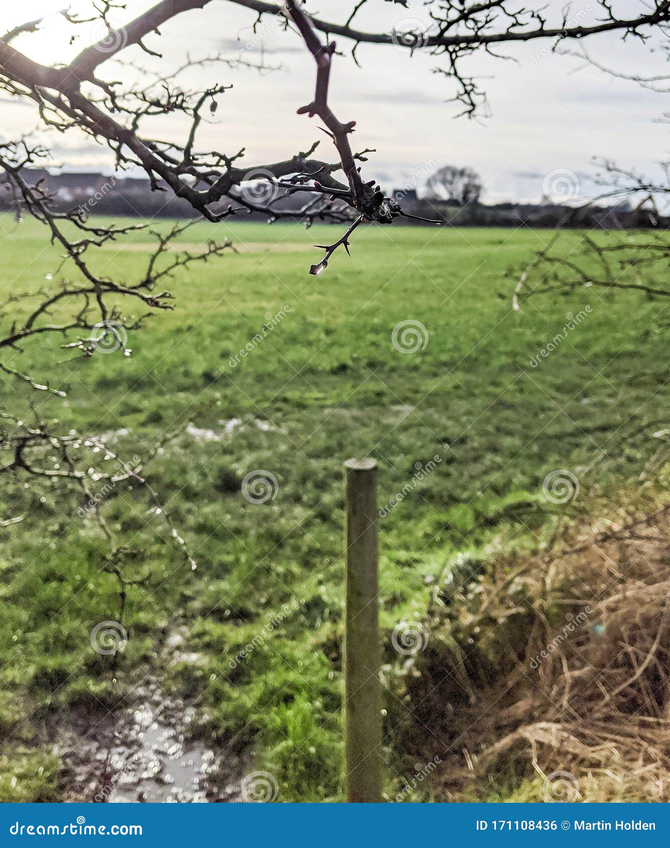 Field blur stock photo. Image of blur, trees, outdoors 171108436