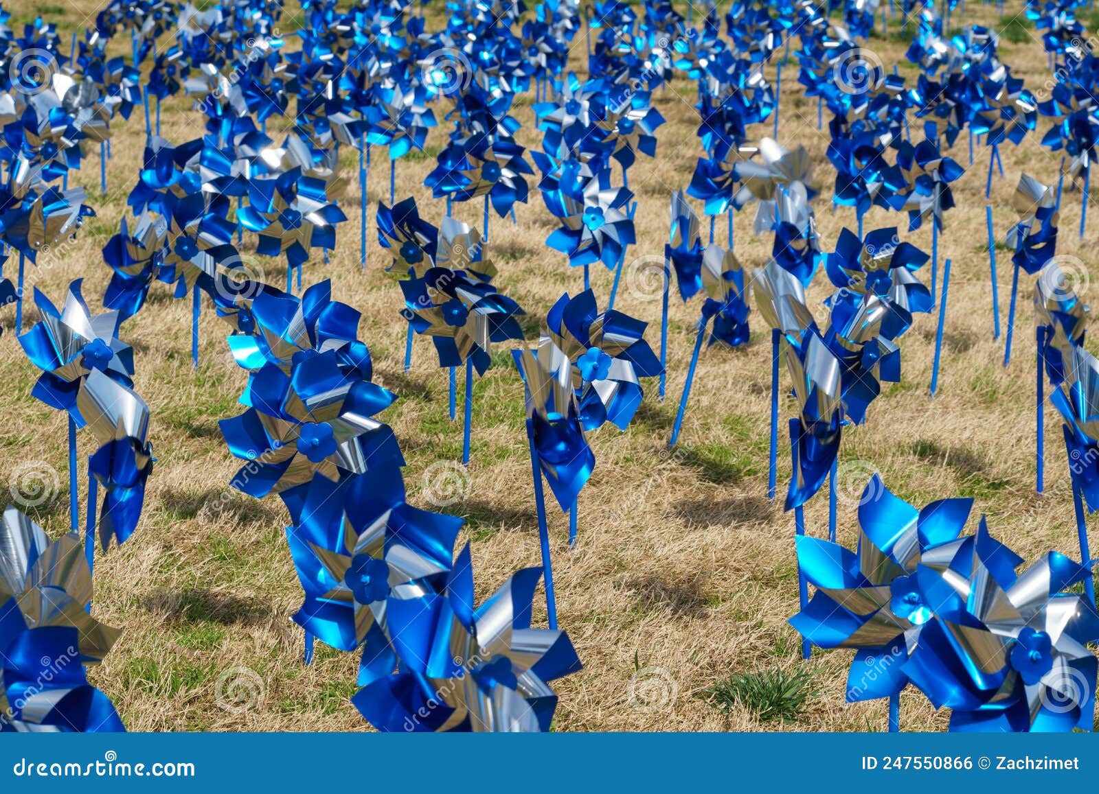 Field Full of Blue and Silver Pinwheels Stock Photo Image of full