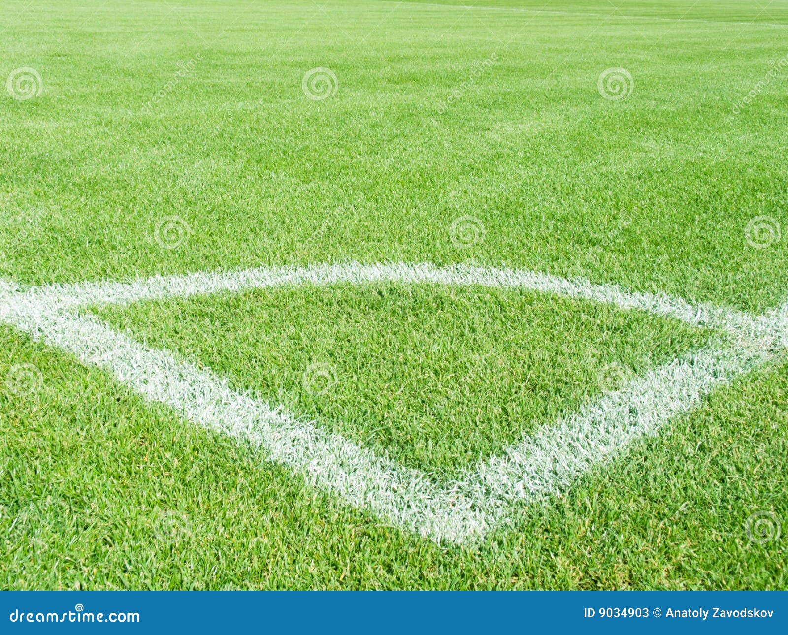 Field for game in football stock image. Image of lush 9034903