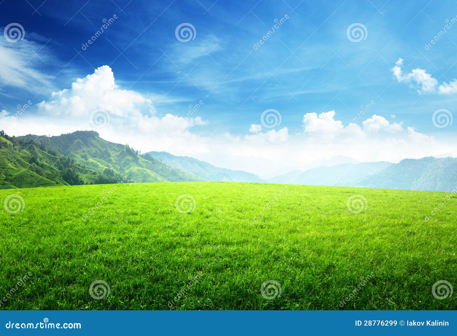 Field of grass in mountain stock image. Image of park 28776299