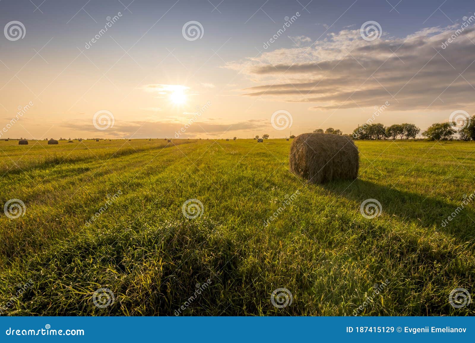 A Field With Haystacks On A Sunset On A Summer Evening Stock Image