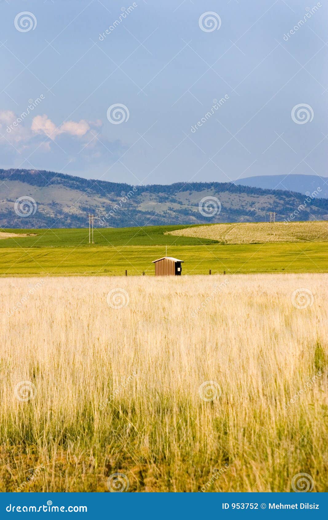 field in helena with a shed and mountains on the background