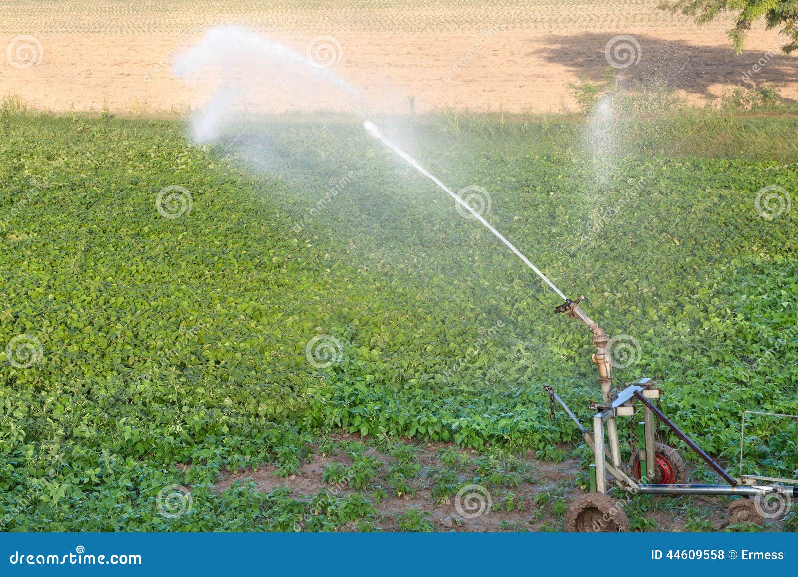 Field irrigation stock photo. Image of furrow, equipment 44609558