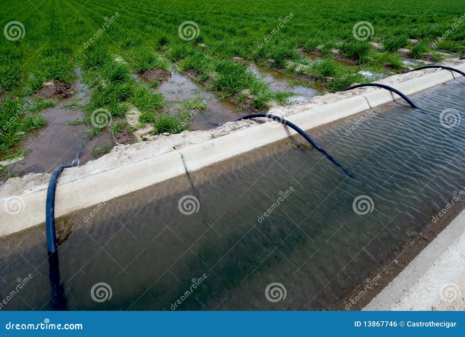 field irrigation ditch