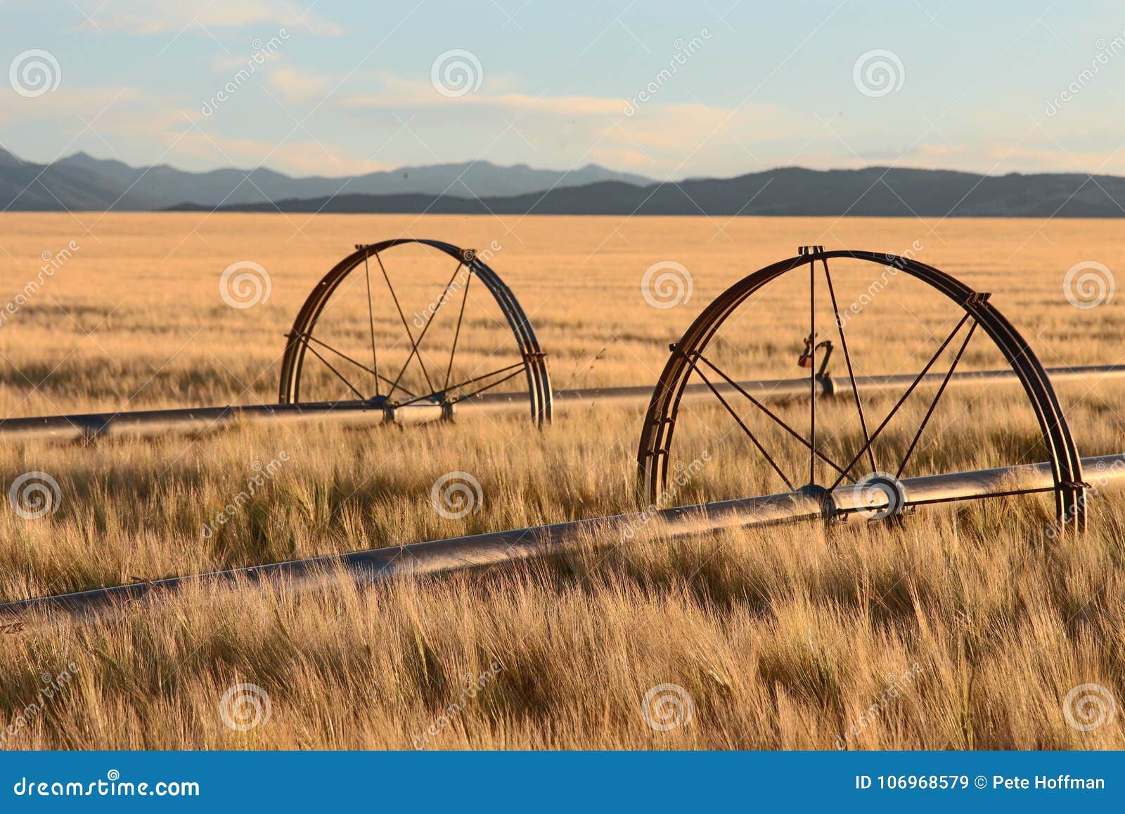 Field Irrigation System in Montana Stock Image Image of skyline