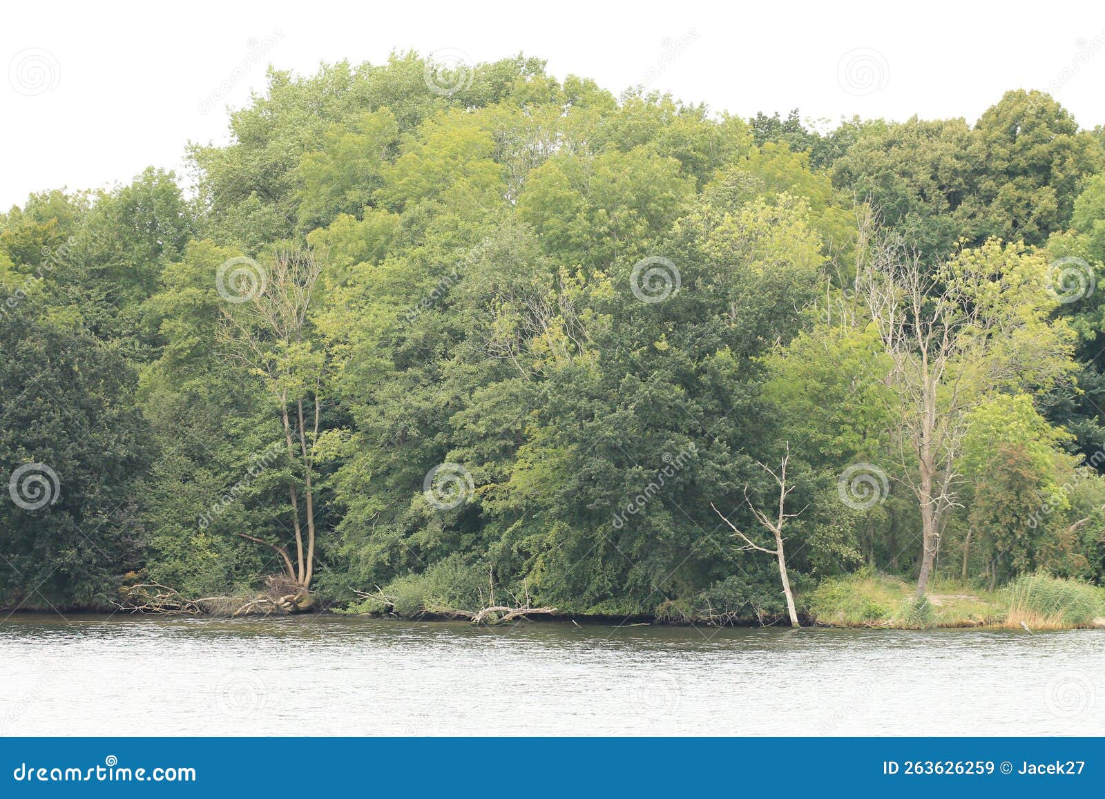 Teresa in Kiel Canal Germany Stock Image Image of teresa, waterway