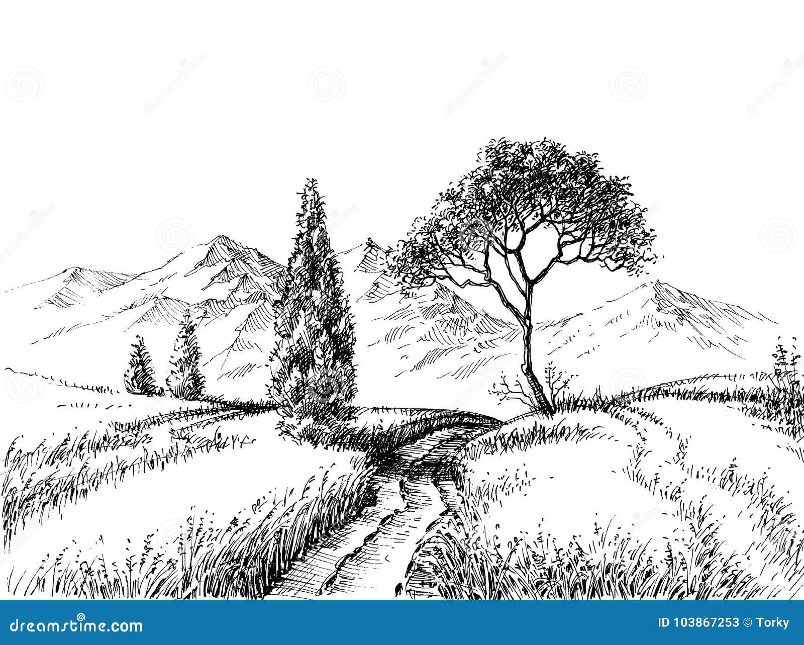 Park landscape design with trees and footpath pencil drawn illustration  Stock Illustration  Adobe Stock