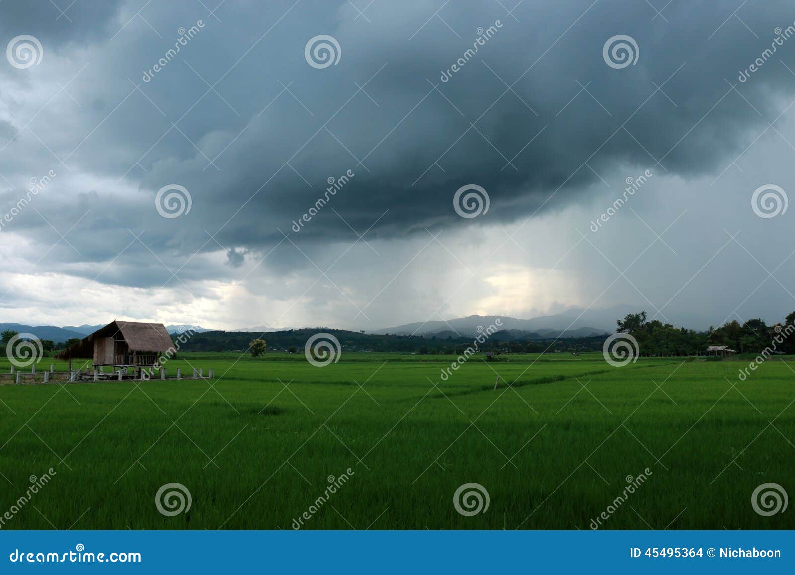 Field last rain stock photo. Image of season, cold, fresh 45495364