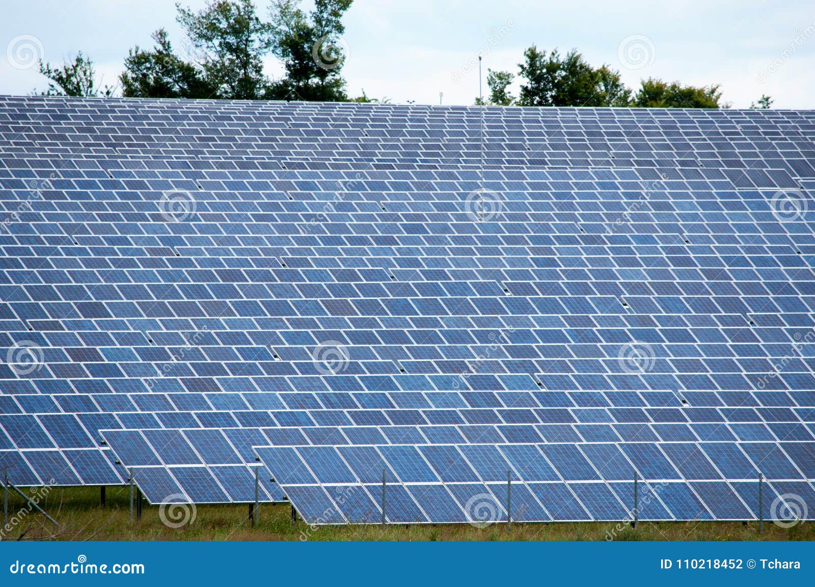 field with lot of photovoltaic panels