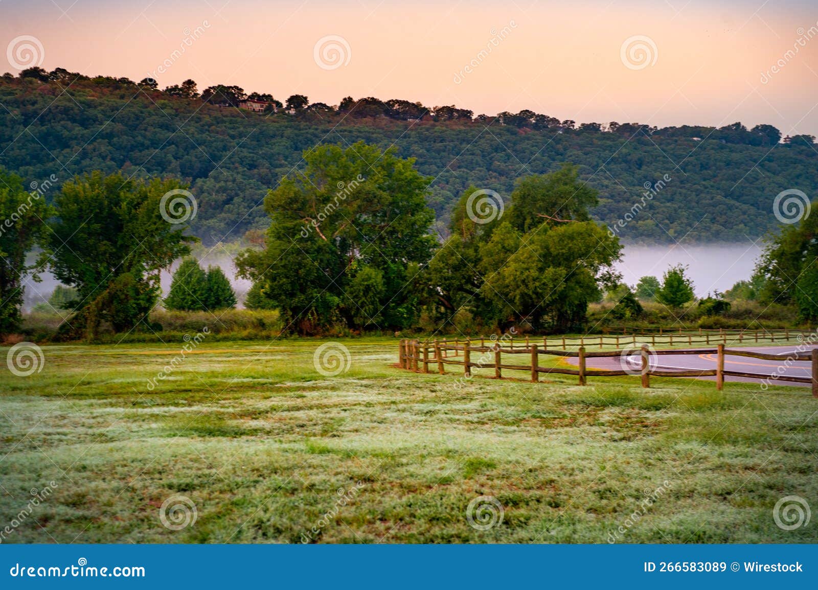 field with mountains covered with trees in the background on a foggy day