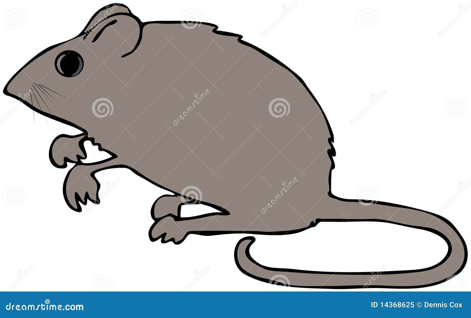 Field Mouse stock illustration. Illustration of vermin 14368625