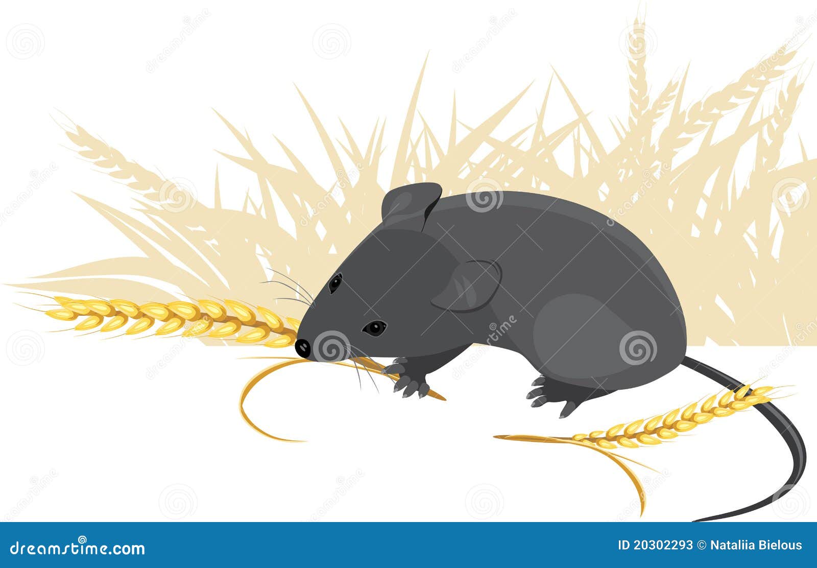 Field Mouse with Wheat Ears Stock Vector Illustration of bread, branch 20302293