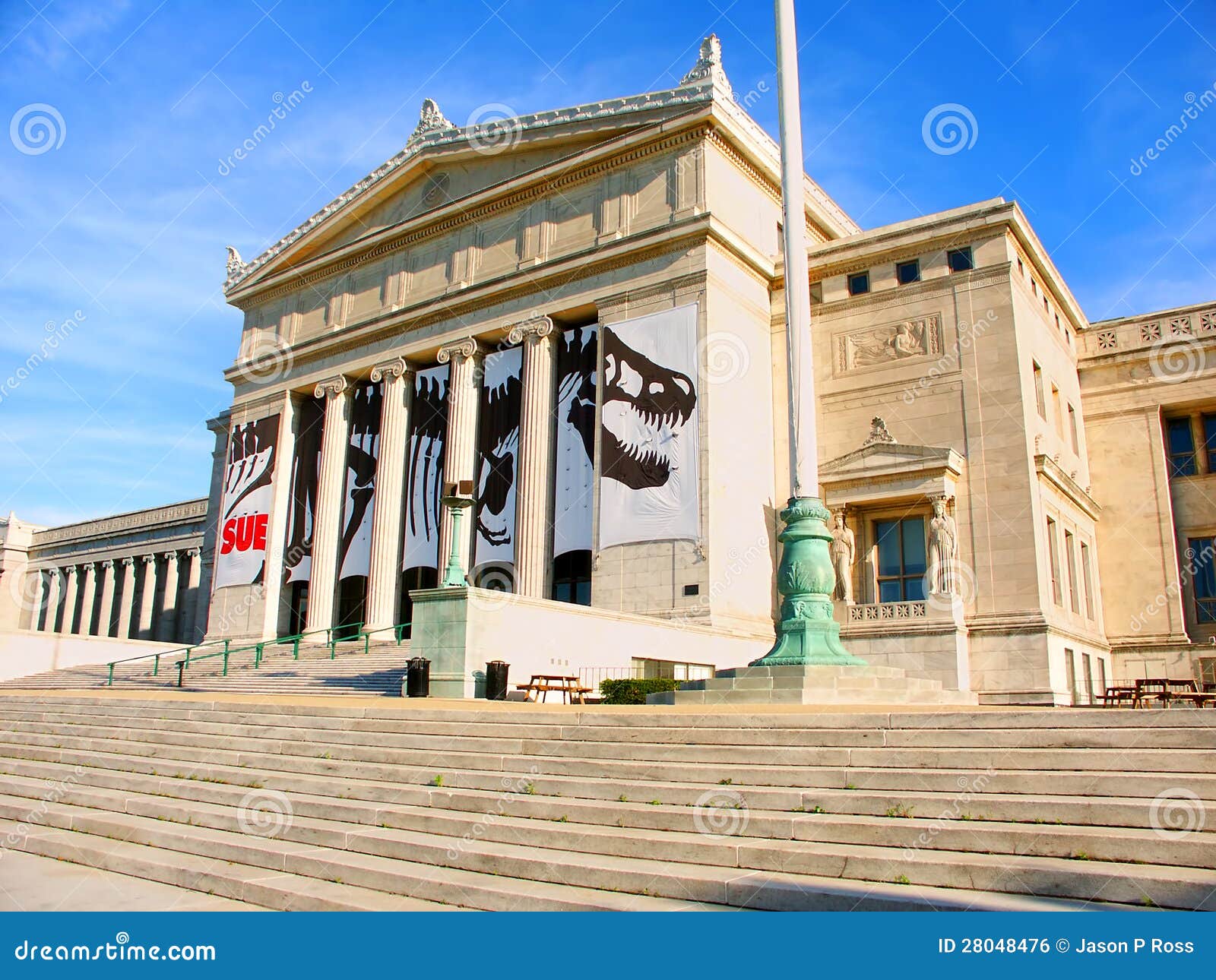 Field Museum of Natural History Editorial Photo Image of fossil