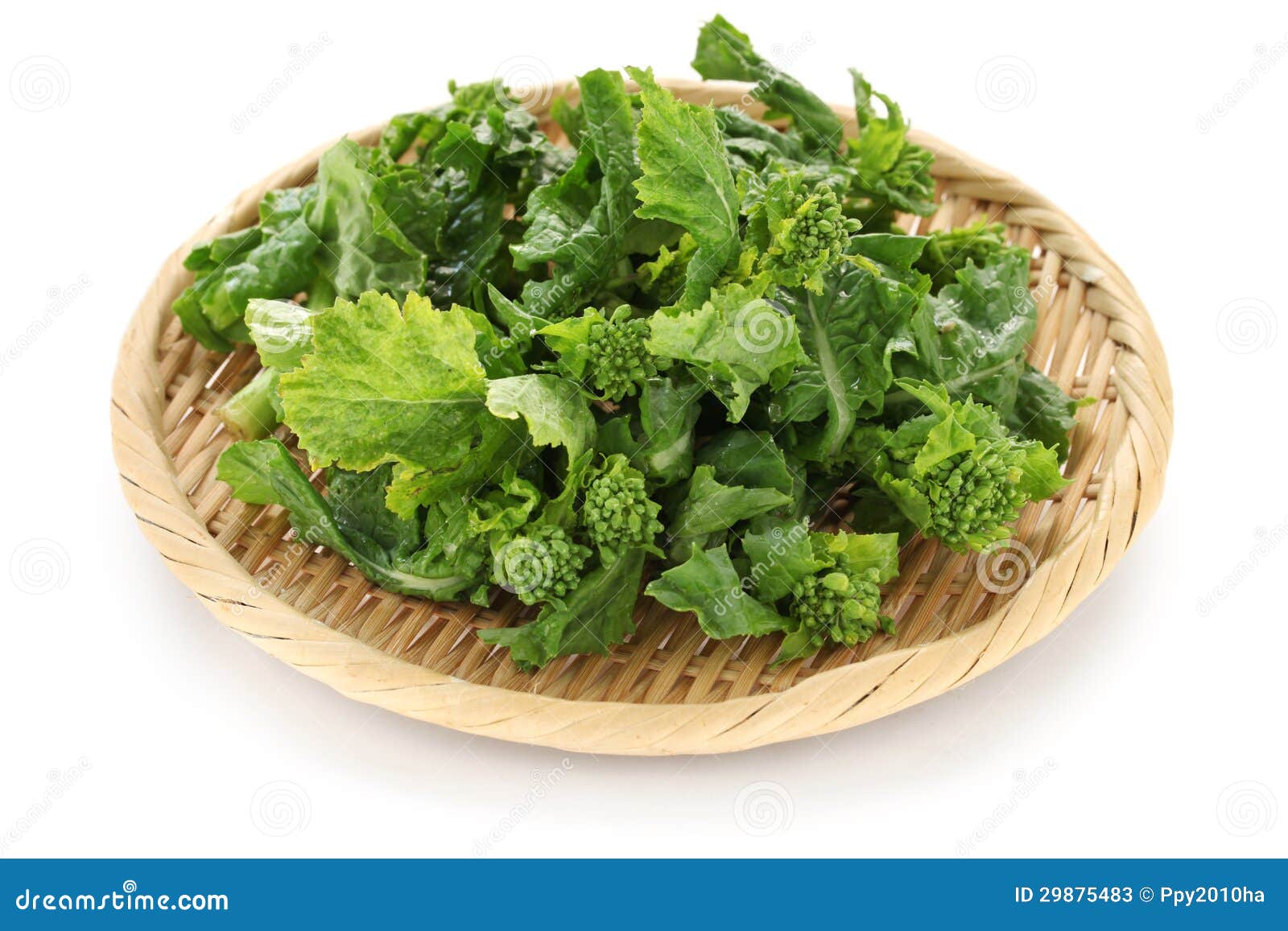 Edible field mustard stock image. Image of rapeseed, white 29875483