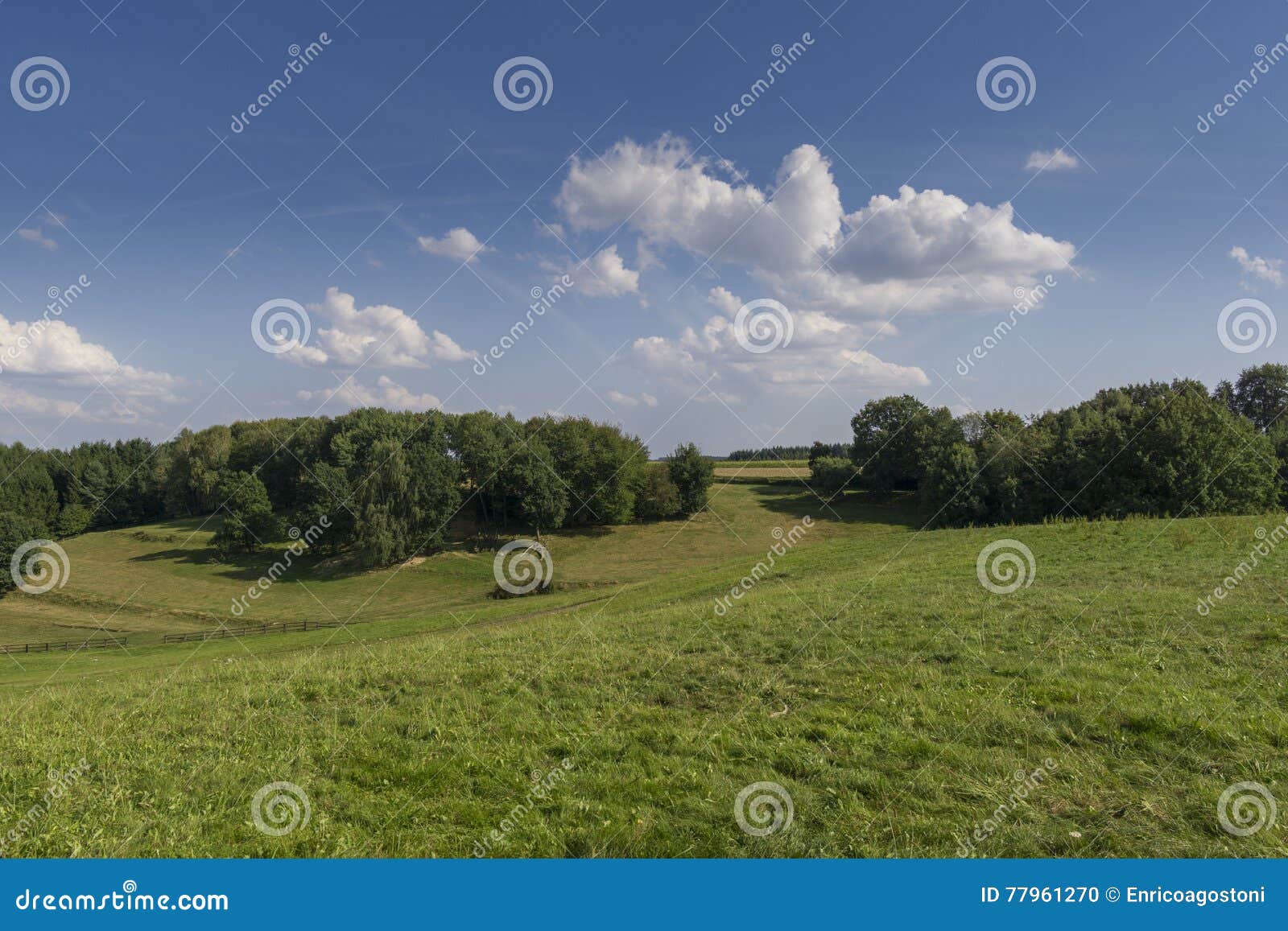 field in the region of hallertau, bayern (germany)