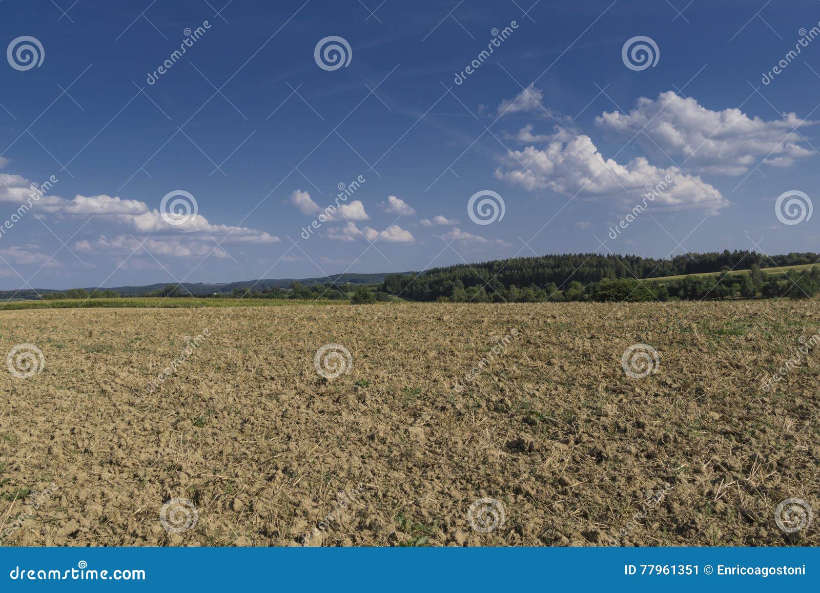 field in the region of hallertau, bayern (germany)