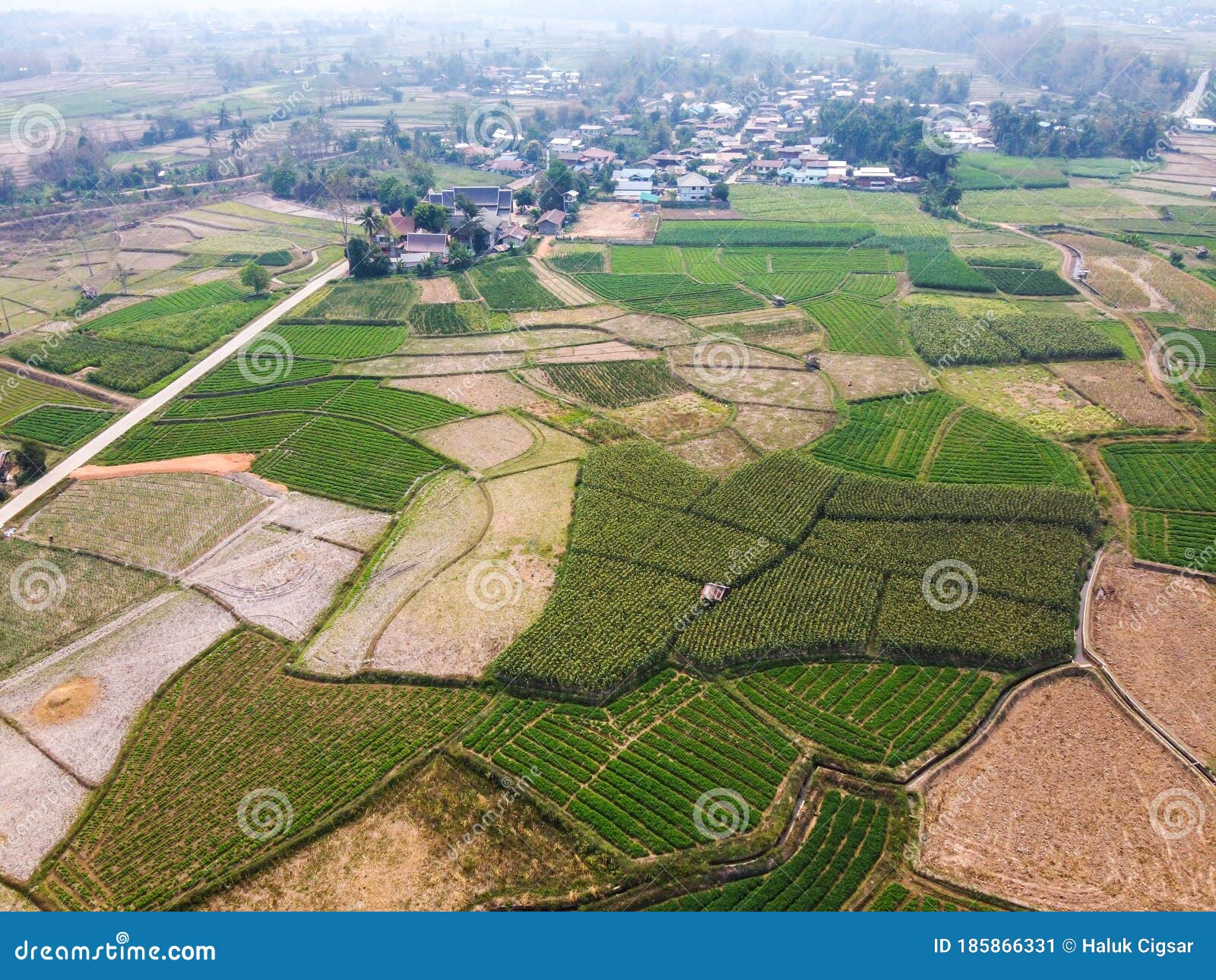 Field Rice with Landscape Green Pattern Nature Background, Top View Field  Rice and Village Stock Image - Image of green, nature: 185866331