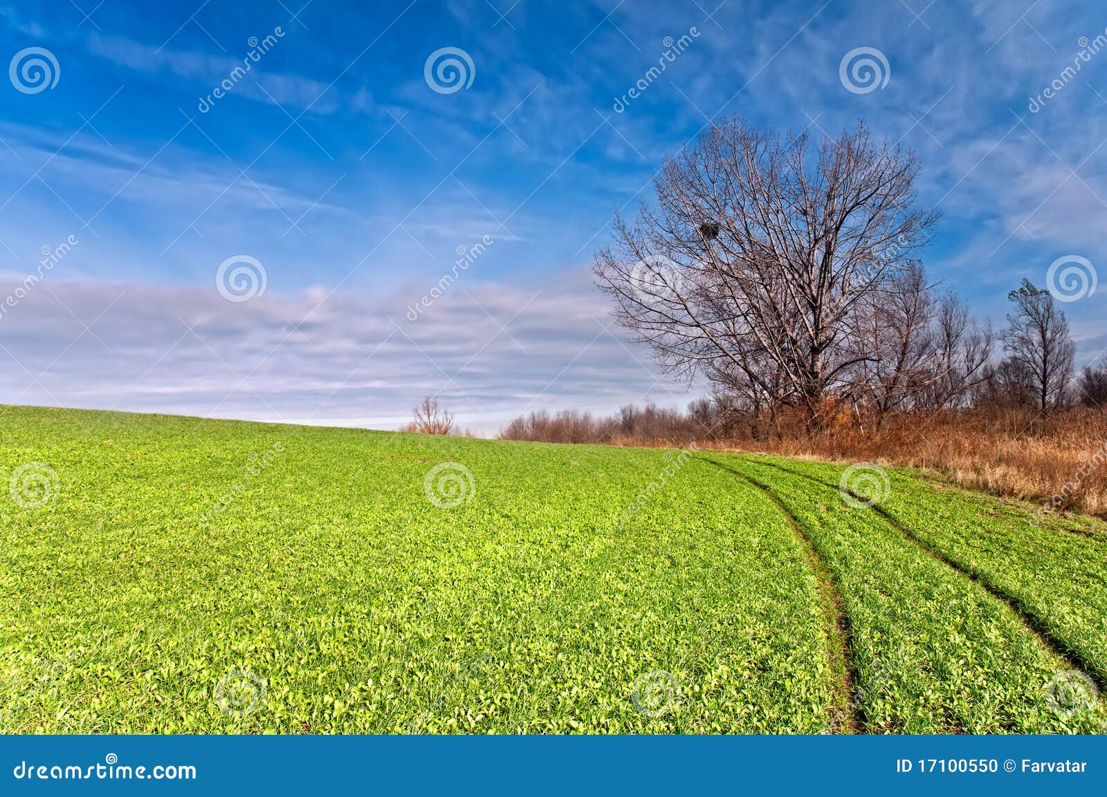 Field Road Stock Photo Image Of Outdoors Field Country 17100550
