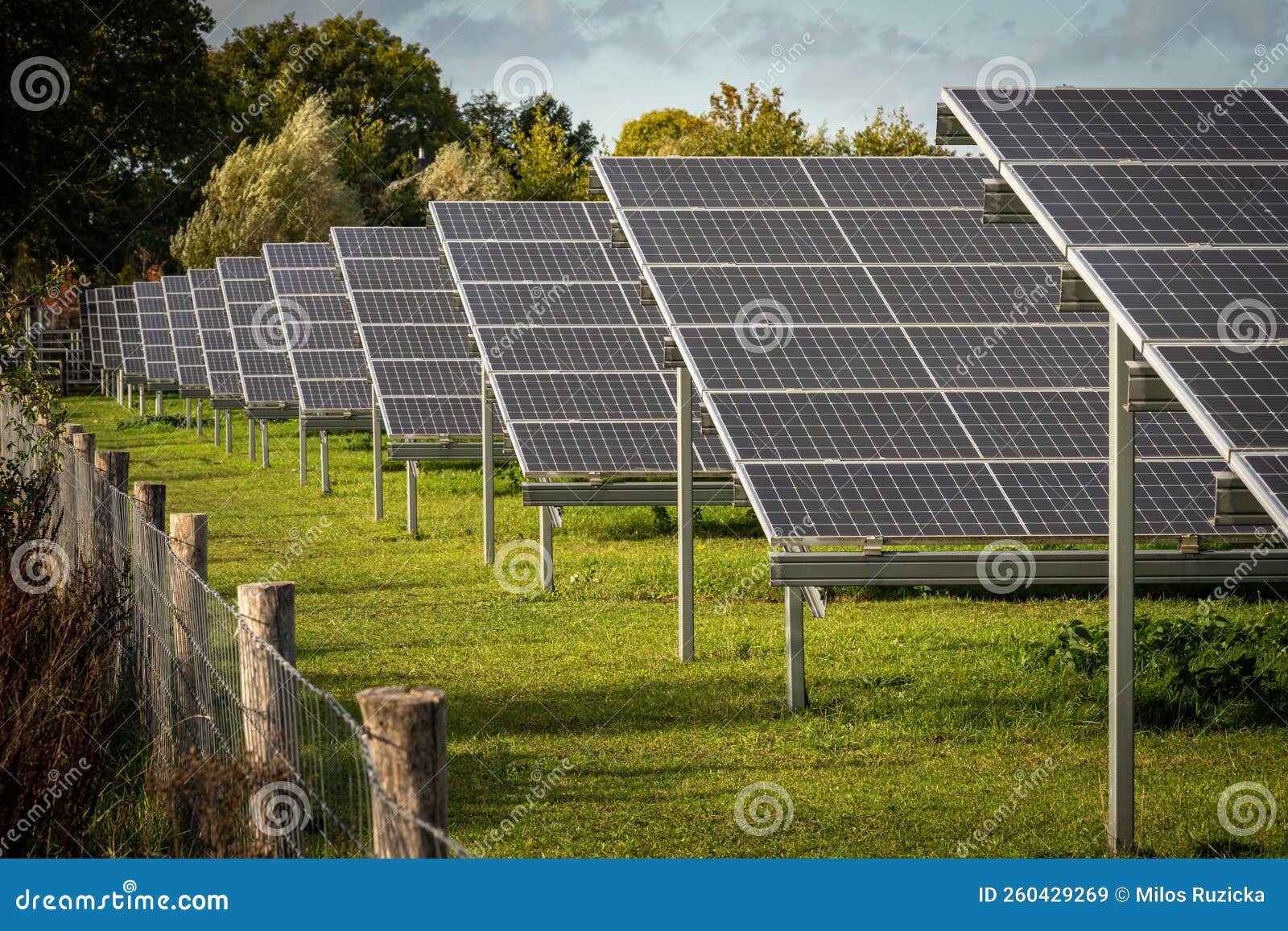 Field with Solar Cells, Large Solar Panel Park in the Netherlands Stock