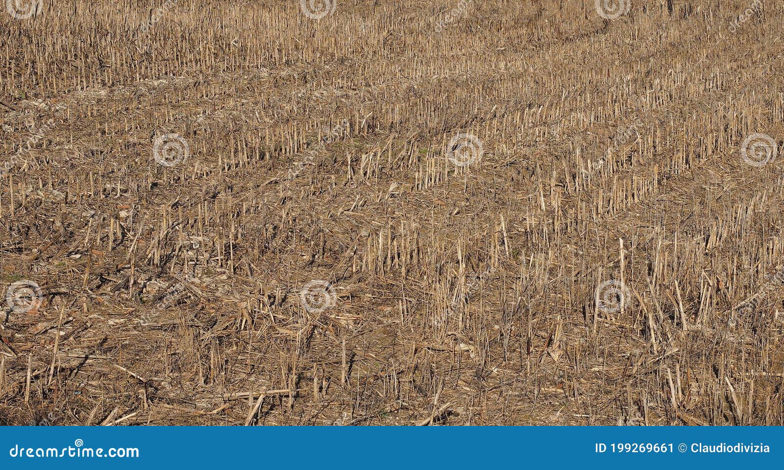 Field texture background stock image. Image of material - 199269661